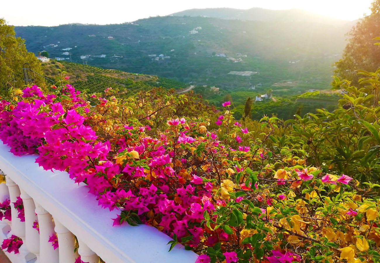 Sommarhus i Torrox - Villa Sinsonte