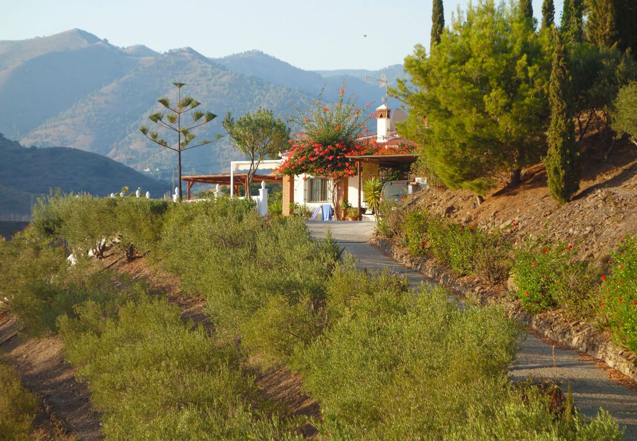 Sommarhus i Torrox - Villa Sinsonte