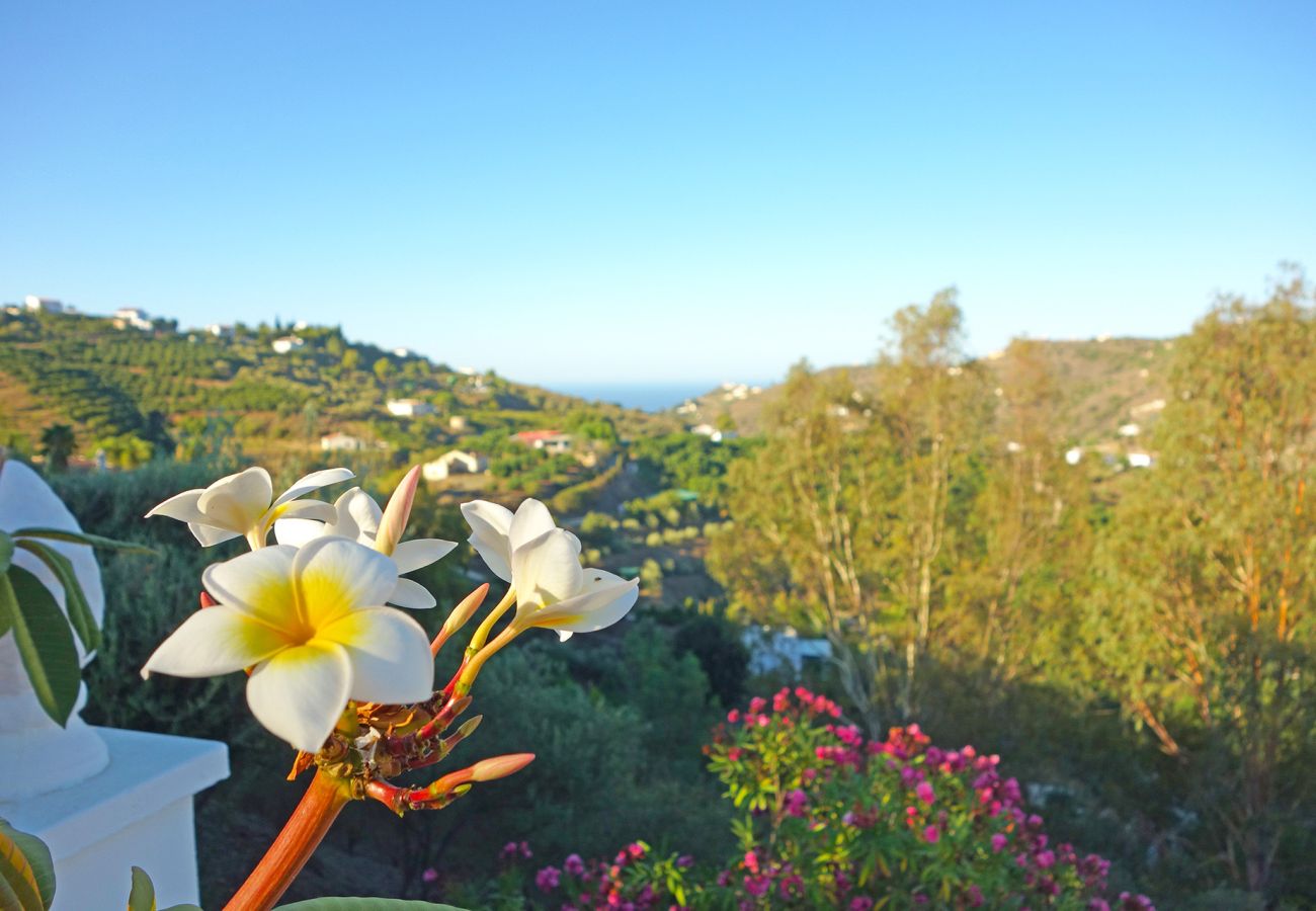 Sommarhus i Torrox - Villa Sinsonte
