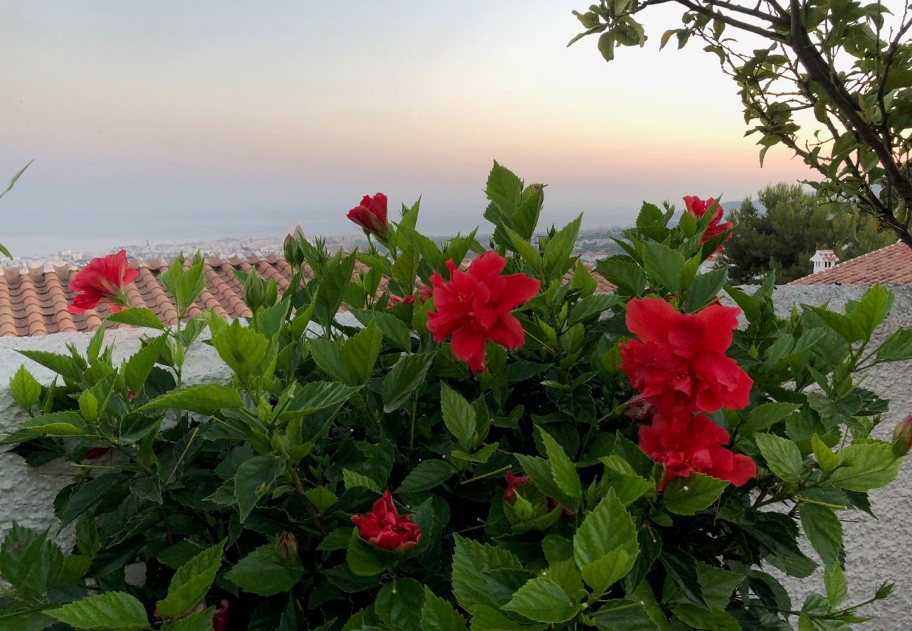 Lägenhet i Nerja - Hibiscos 50B
